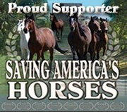 Saving Horses